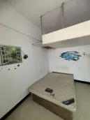 ��������·С��