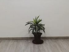 核心商圈、336平方、房东直租500/工位