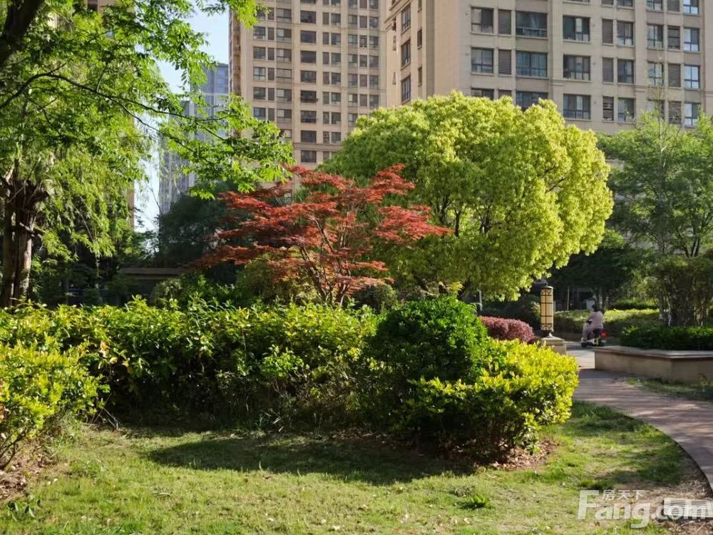 小区相关图