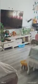 ��̩С��