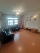 ɽ��������