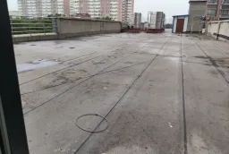 ��������Է