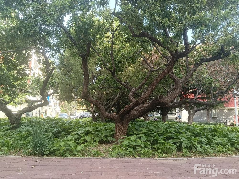 小区相关图