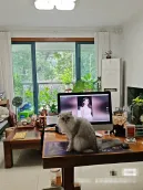 ��®����һ��