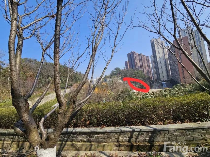 小区相关图
