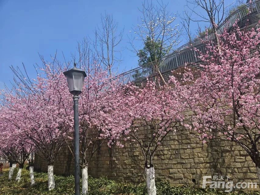 小区相关图