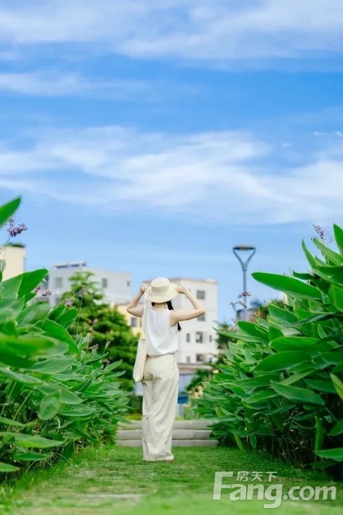 小区相关图