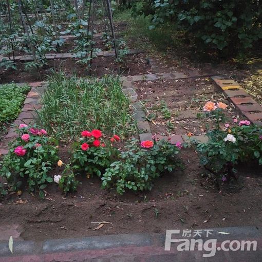  ���������첼��·���ɹ�������ſ����� 2��2�� 72�O 18 