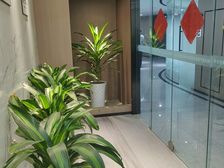 新裕路甲级写字楼200平精装带家具 直租免中介