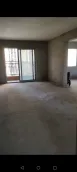 �����Է