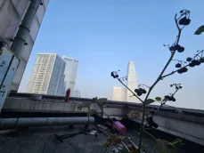 �ϻ����Ĺ��ʹ�Ԣ