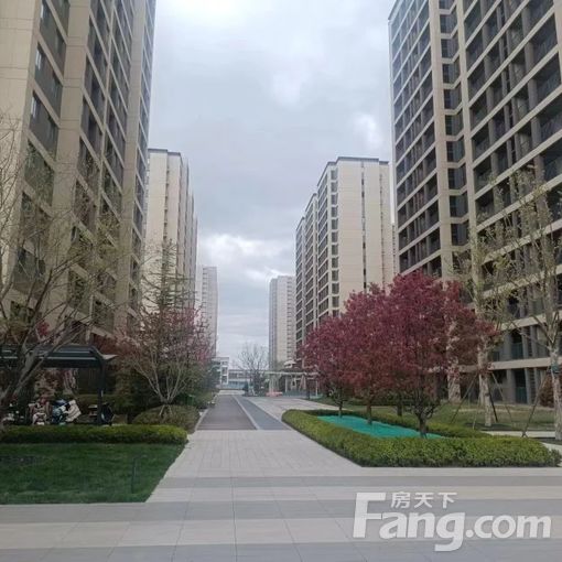  �����ϺϾ��ÿ������ڴ�ʱ������110.03ƽ���� 3��2��1 