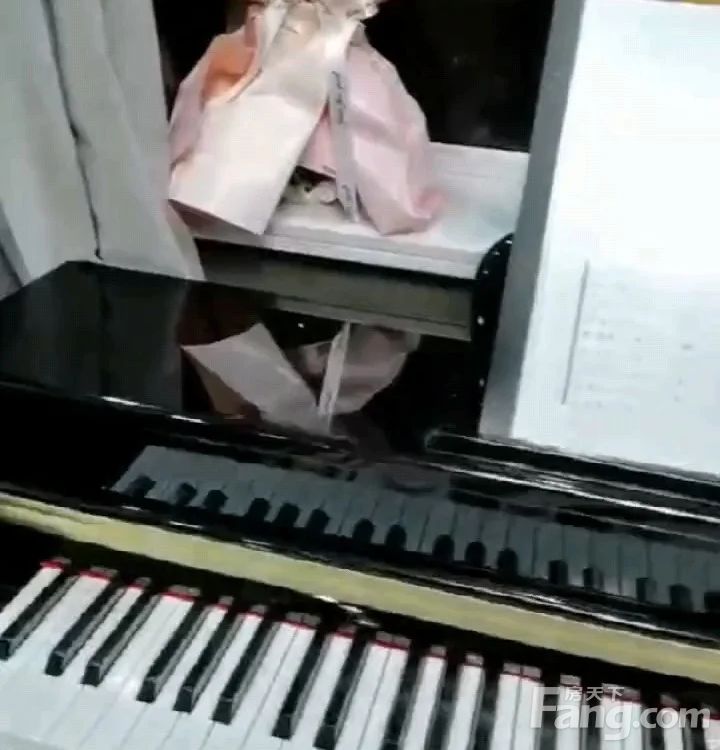 室内图
