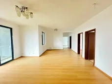 ���ͳ�����Է