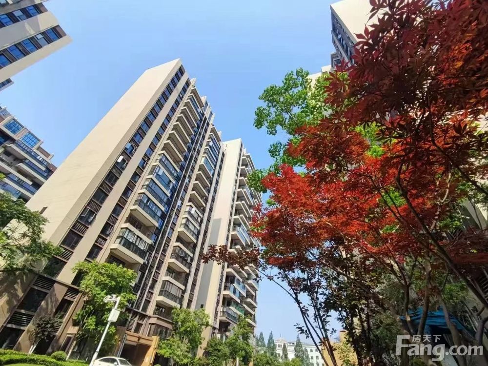 小区相关图