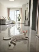 ̩��Ǻ��뺣