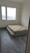 �ƽ�ξ�