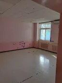 �żҷ�С��