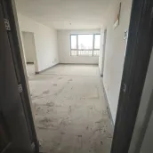 �̵������?��˹������