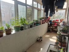 南北通透两居室,济柴八宿舍好房出售