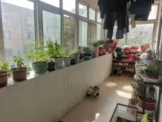 �ò������