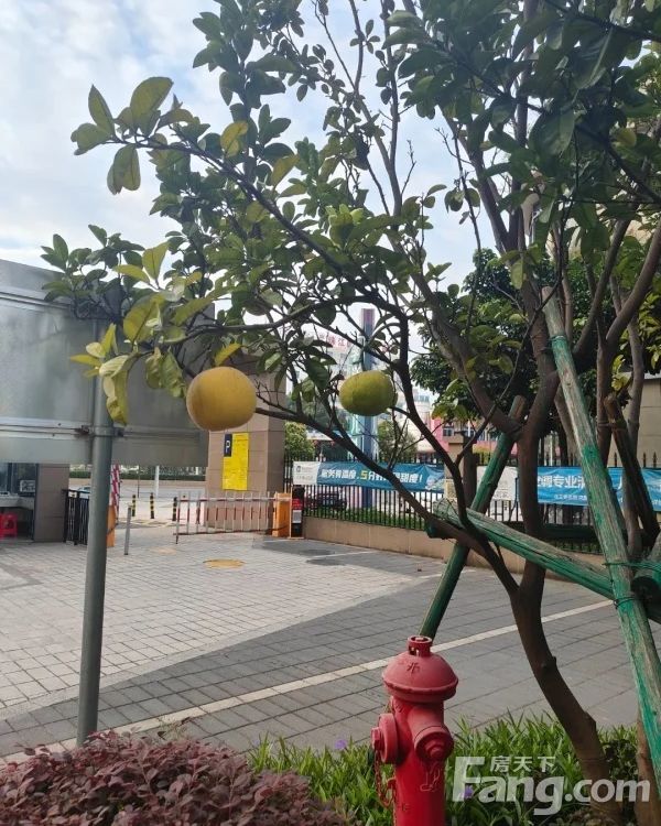 小区相关图