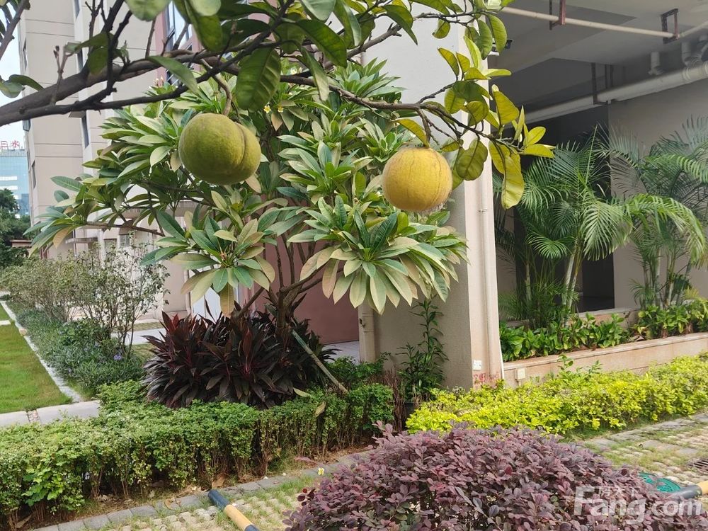 小区相关图