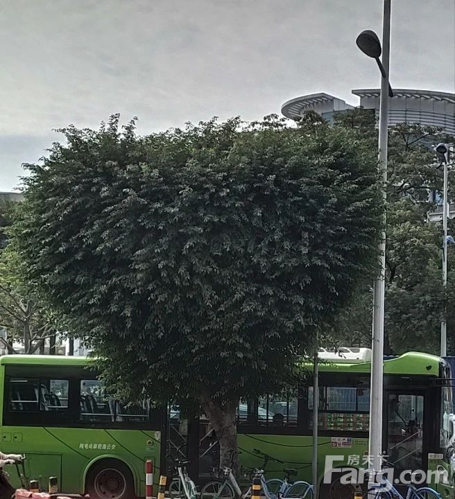 小区相关图