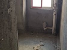 川汇区 滨江·国际星城 3室2厅 112.84㎡ 50万