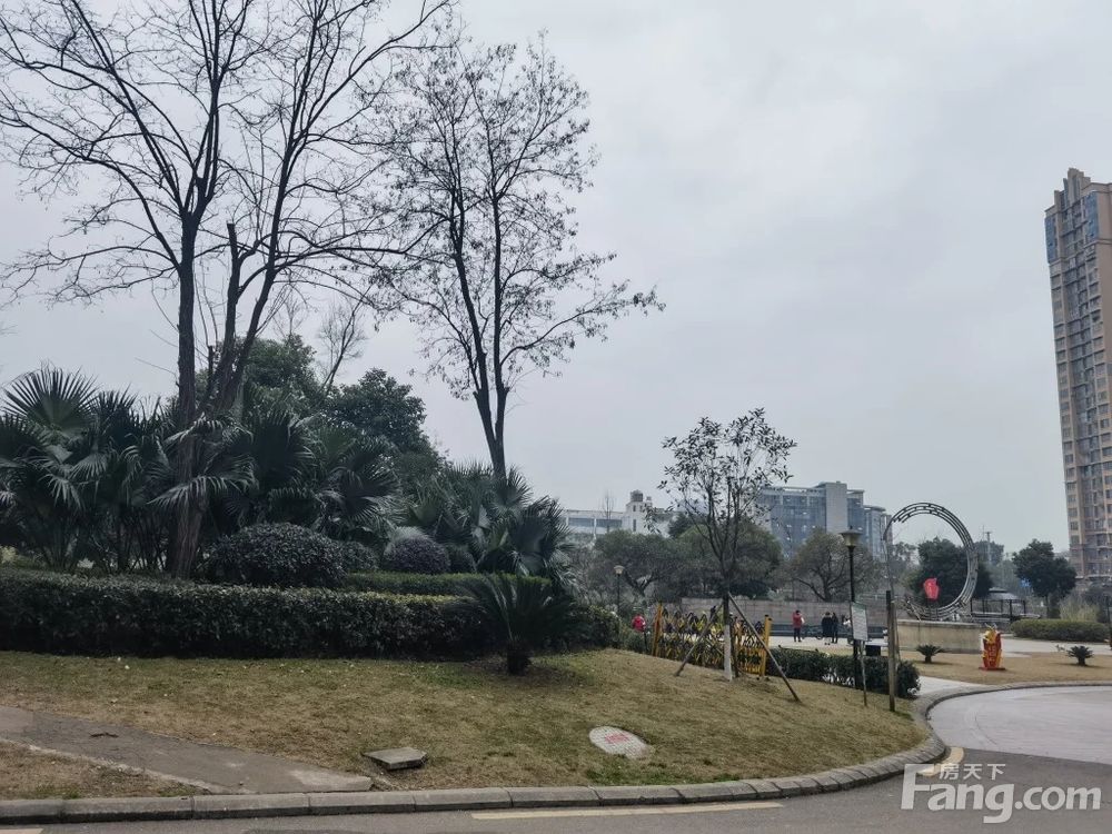 小区相关图