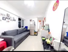 ���ǹ��ʹ㳡