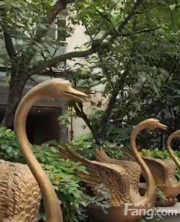 小区相关图