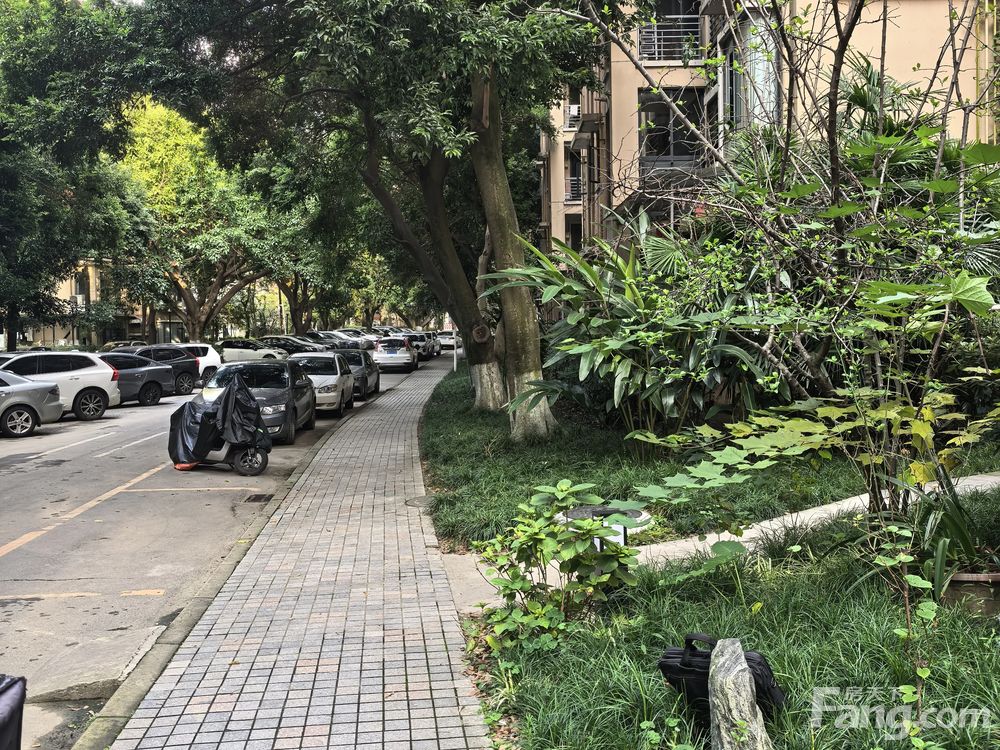 小区相关图