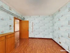 ��ɽС��