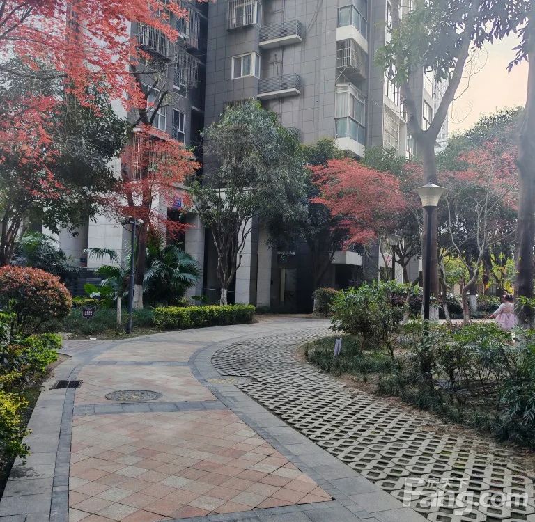 小区相关图