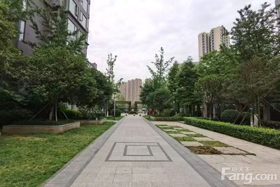 小区相关图