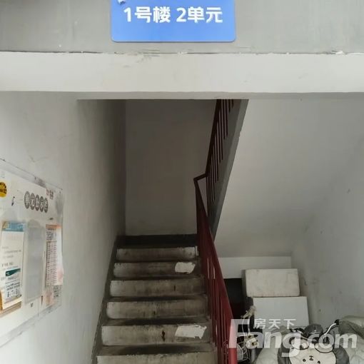  ����ĵ���㳡�Ų�С�� 3��1�� 90�O 1100Ԫ/�� 