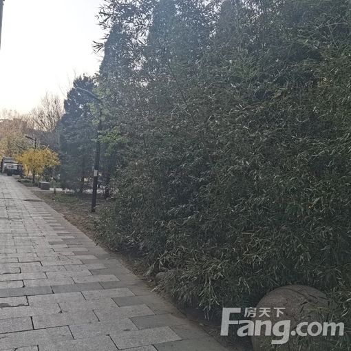  ������ɳ̲1��Ժ153ƽ���� 3��2��2�� 