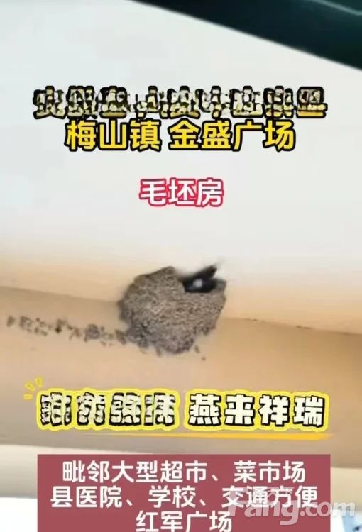 室内图
