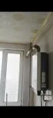 �н�??԰