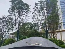 车位:通州次渠绿城·桂语听澜