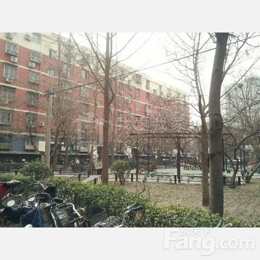  ���ǳ��������������� 2��1�� 74.25�O 7800Ԫ/�� 