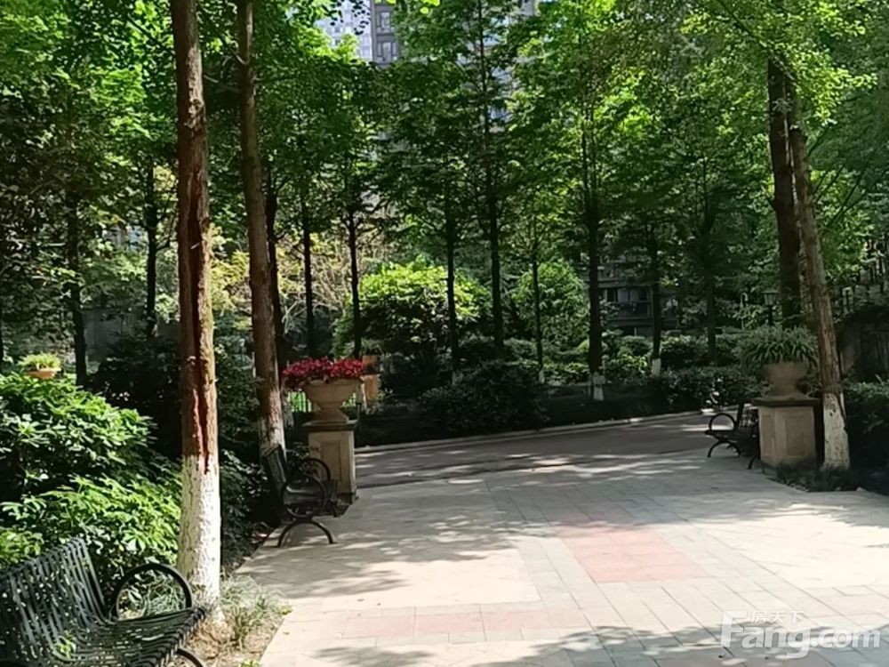 小区相关图