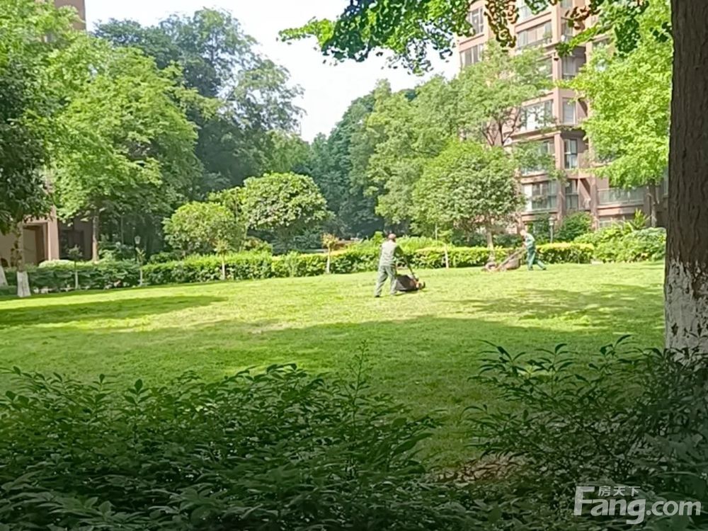 小区相关图