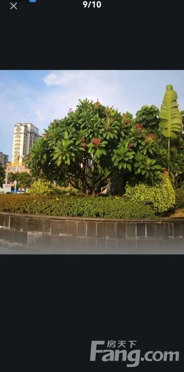 小区相关图