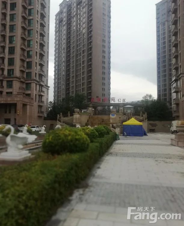 小区相关图