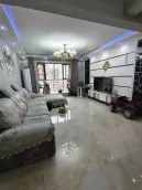 �����ж�