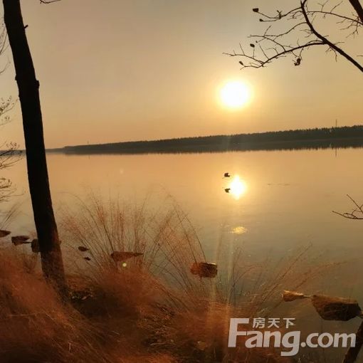  �����ѧ����ʤ��·59�� 1��1�� 82�O 5500Ԫ/�� 