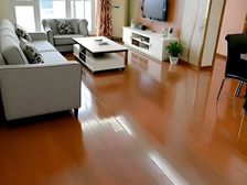 大东 万科蓝山 2室2厅 101.42㎡ 85万
