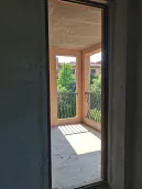 ��̶�̹�԰